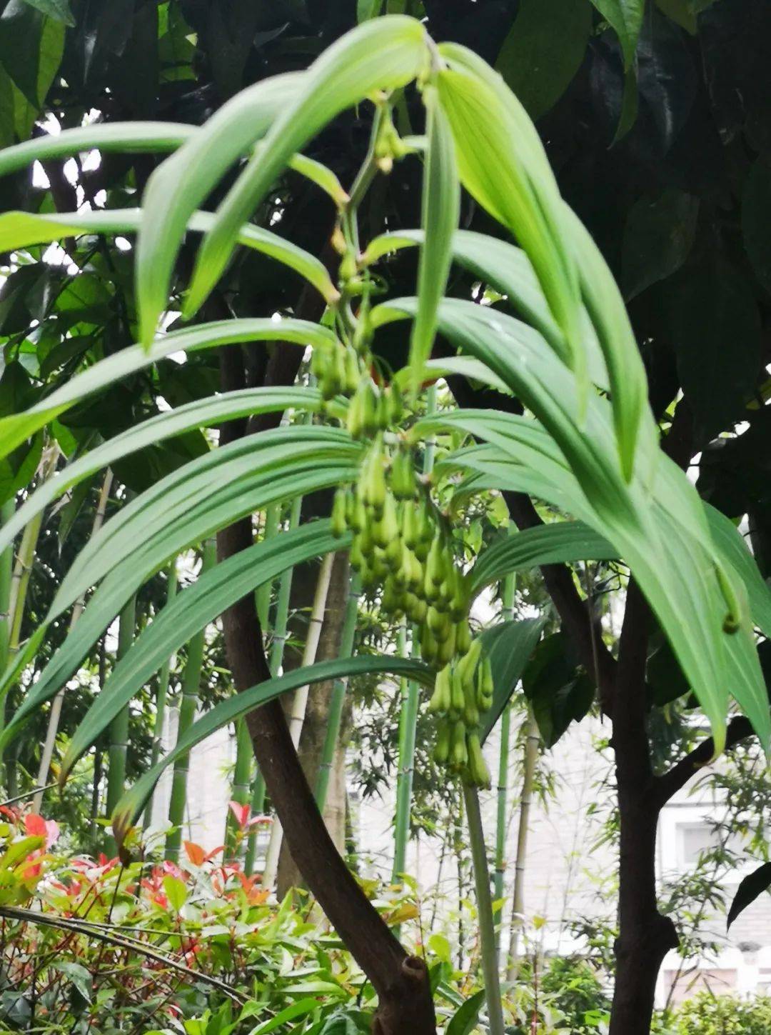 荣耀加冕,匠心传承——浙江三溪堂中药有限公司王建荣获