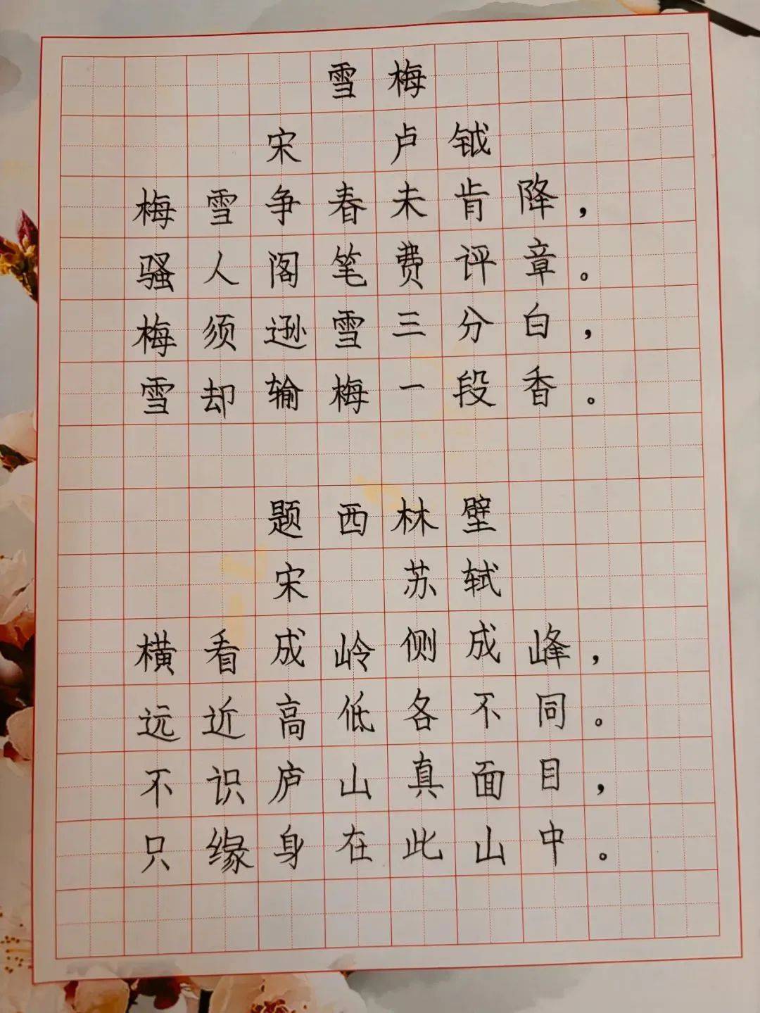 悠悠夏日长,"暑"我最光芒——云山学校龙珠校区四年级暑假优秀作业展