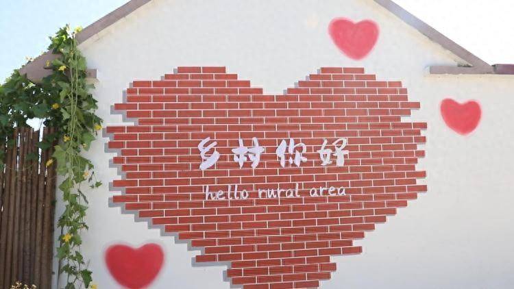 恬淡清新的新农村画卷，感受生活中的艺术