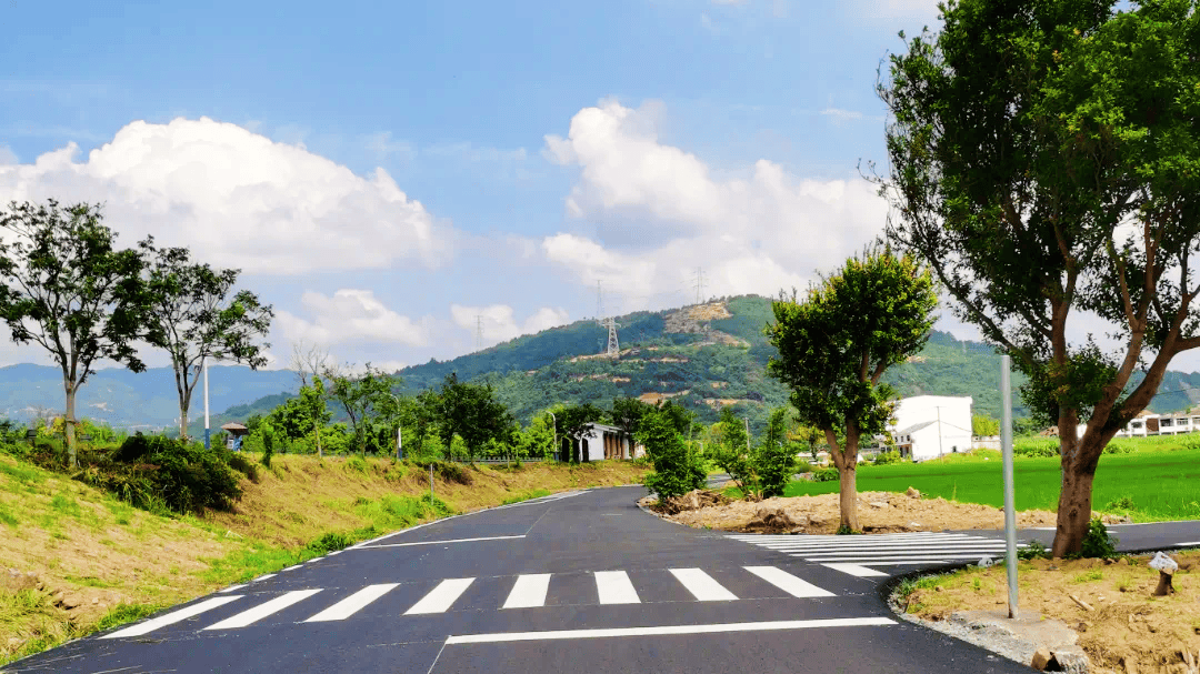 苍南最美公路图片