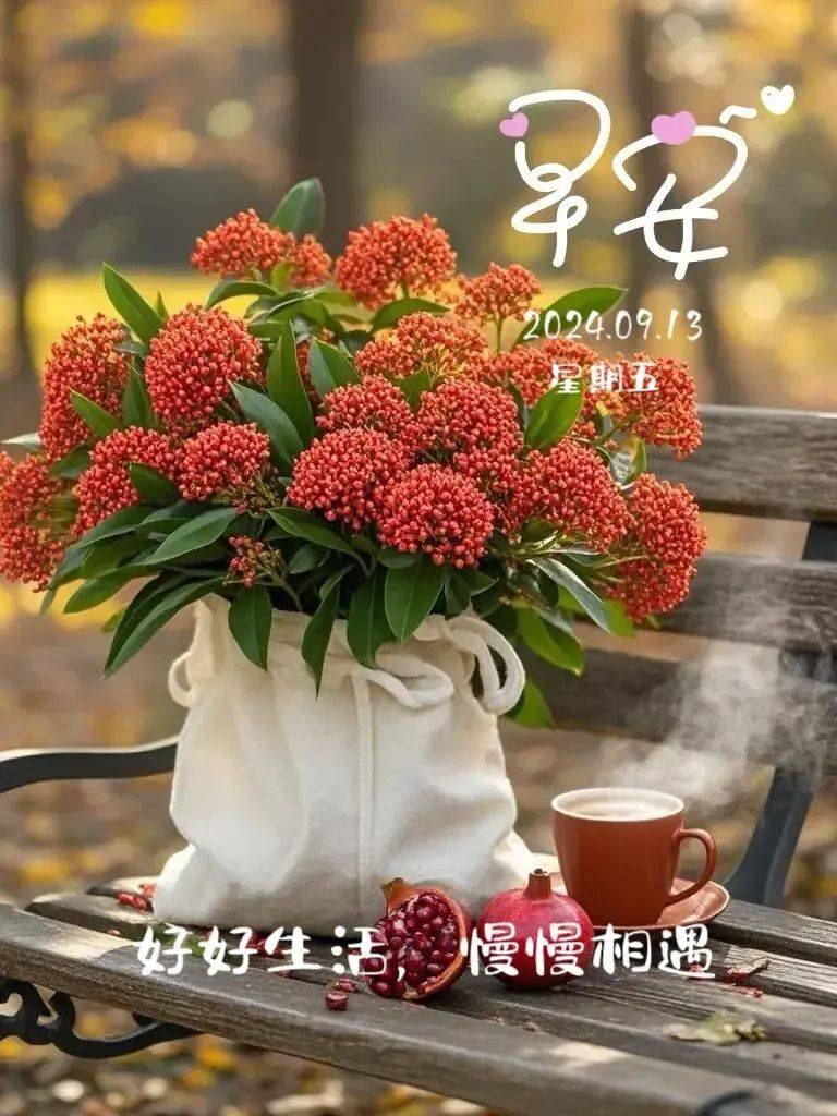 9.13早安唯美图片:从容相伴,迎接每一个崭新的星期五