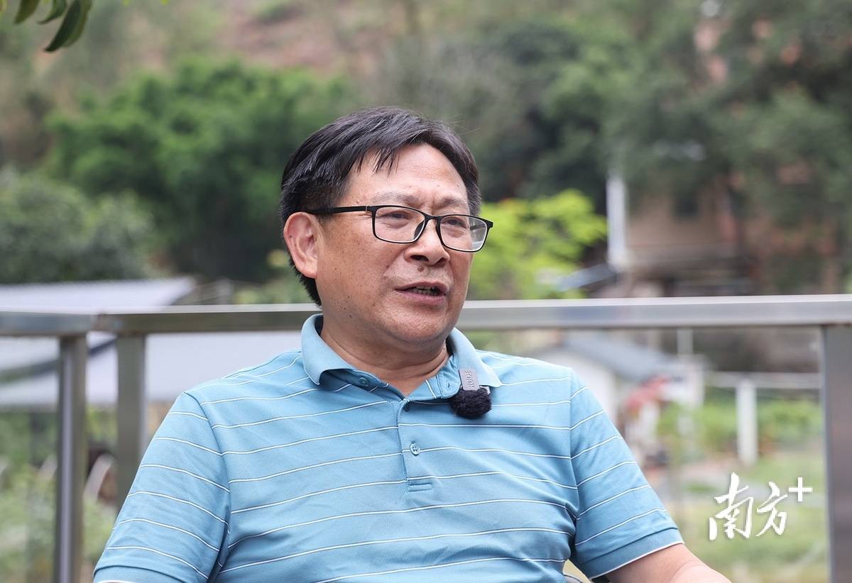 胡波: “复活”老侨房,发展乡愁经济_南村_叶志文_文化