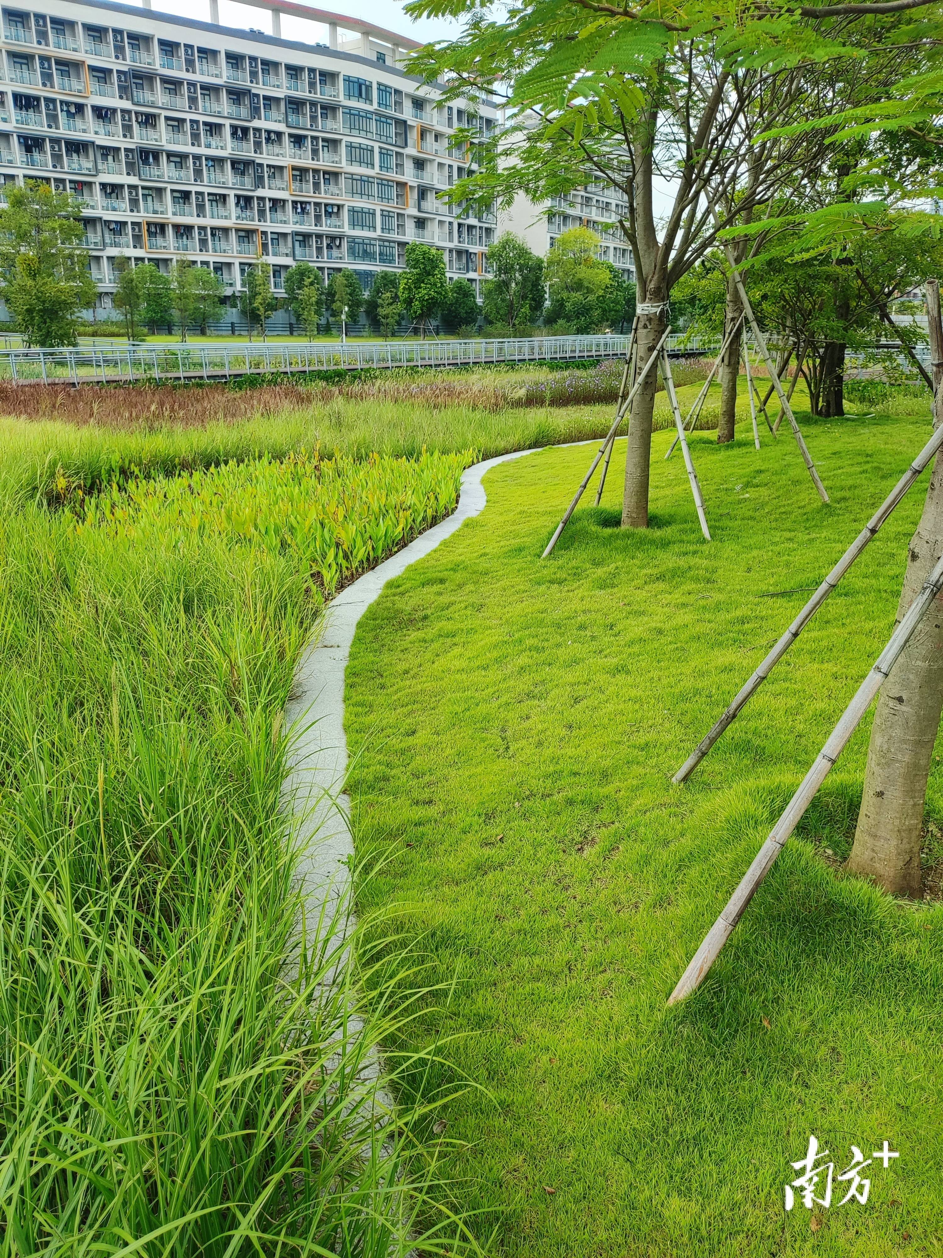 新华社:管家婆一肖一码100-城市：大刚观察 | 东莞、武汉、成都、重庆进军软件：“软件化”成为工业城市新趋势  第8张