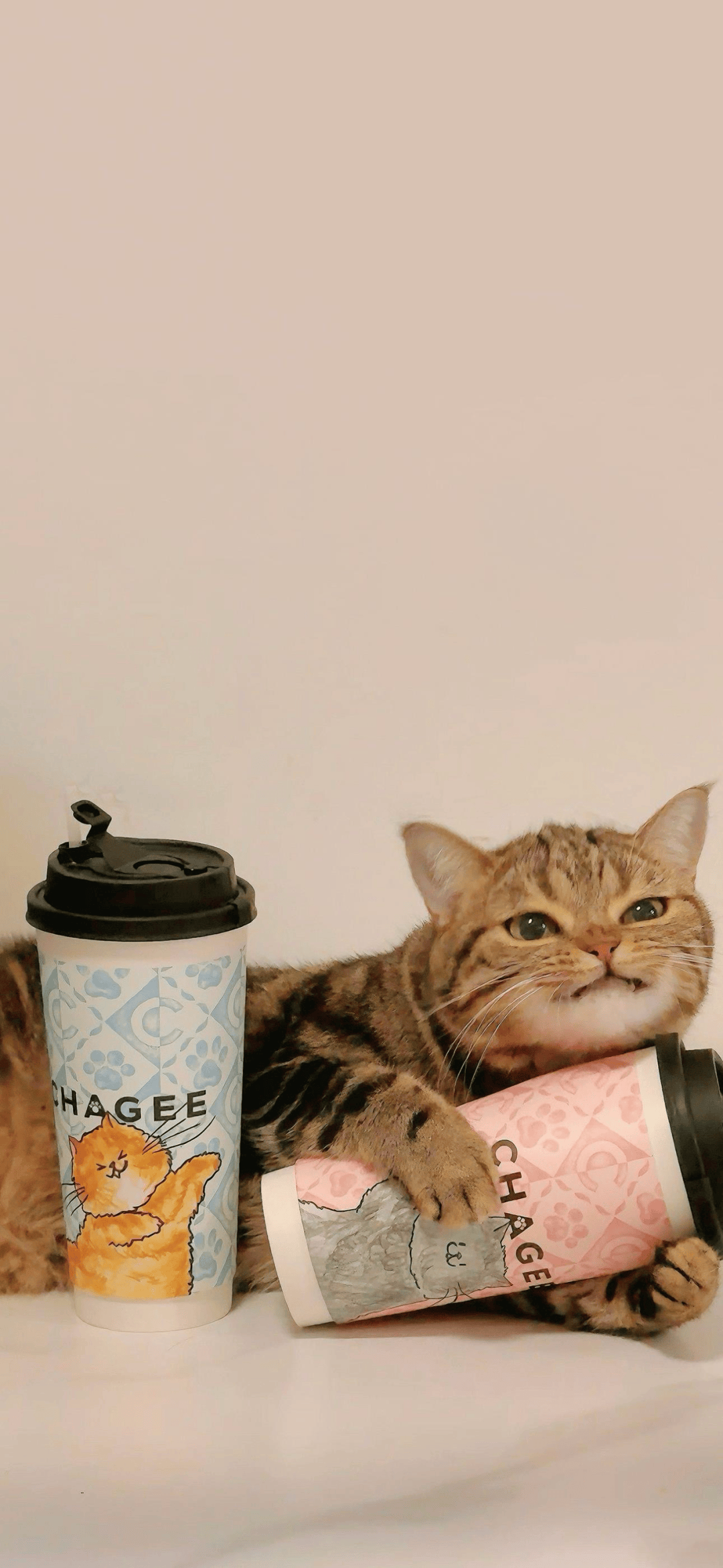 奇奇怪怪的手机壁纸