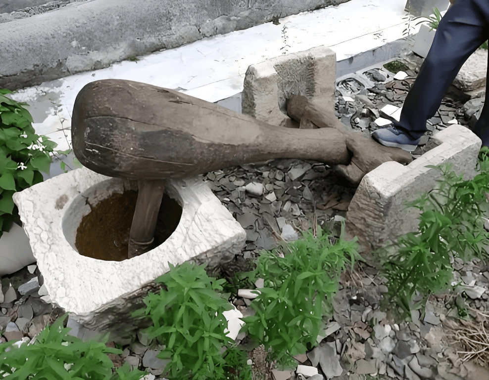 那沉甸甸的石舂,仿佛承载着祖辈们的汗水与欢笑