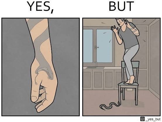 "yes, but" 系列讽刺漫画:揭示生活的两面性!