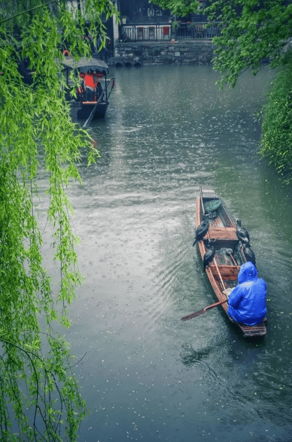 风风雨雨走过的图片图片