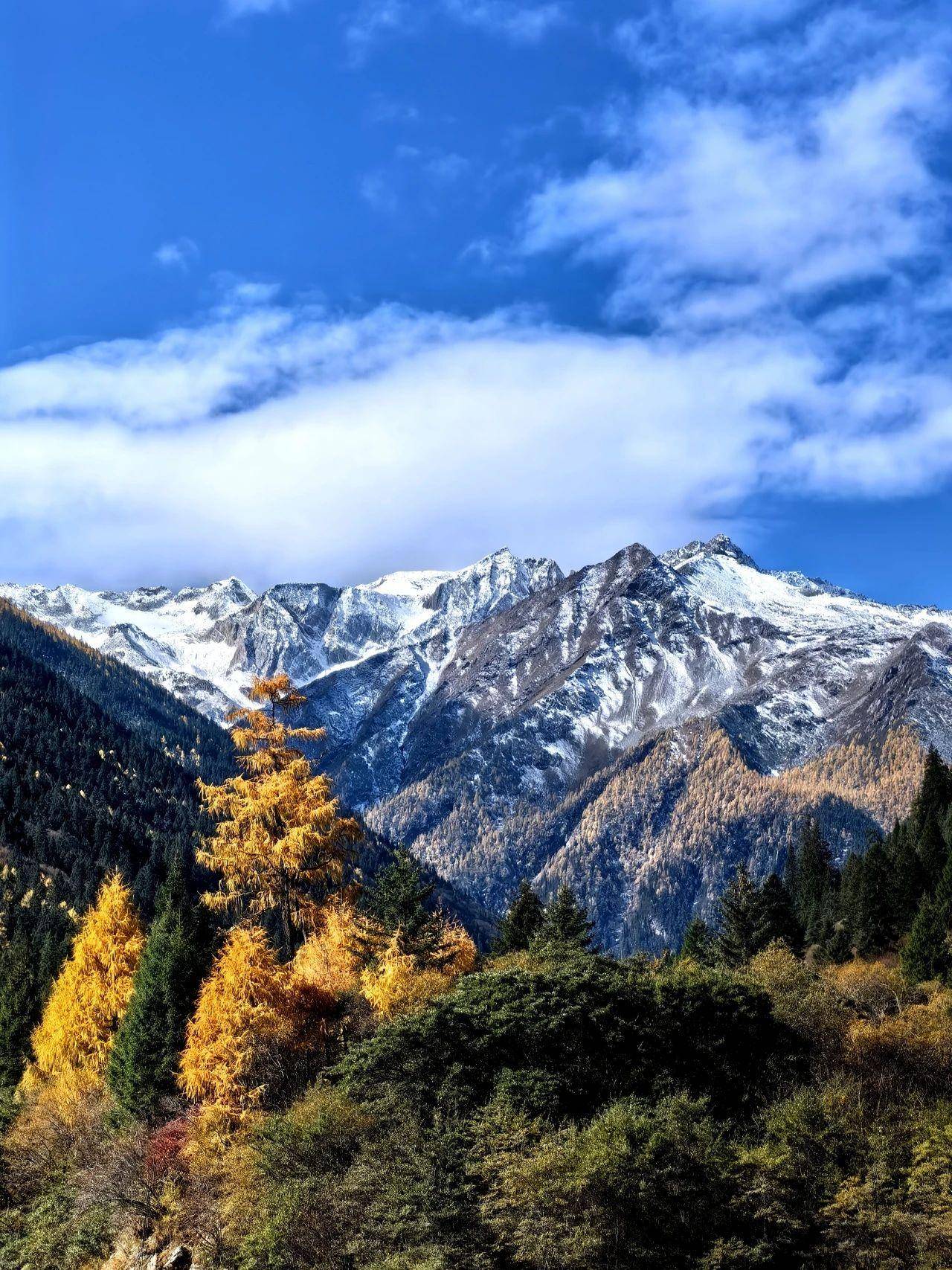 大雪山森林公园图片