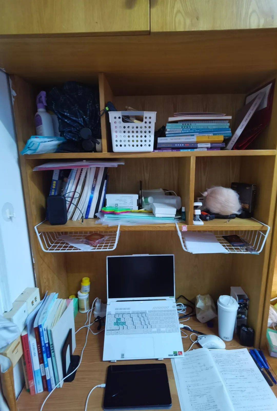 寝室劳动文化节