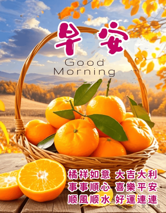 今日最新版早上好表情图片大全,每天生活再忙,牵挂永远不变!