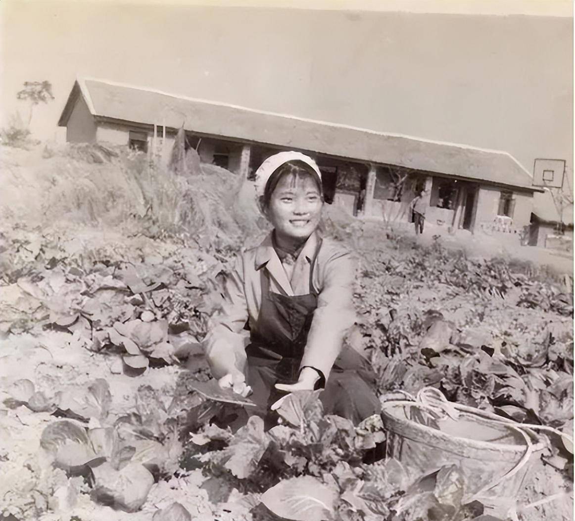 在这些青年中,有许多是风华正茂的女孩子,她们怀着满腔热血和对未来的