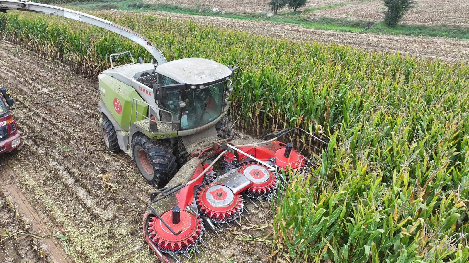 古浪:青贮玉米收割忙 奏响秋日丰收曲