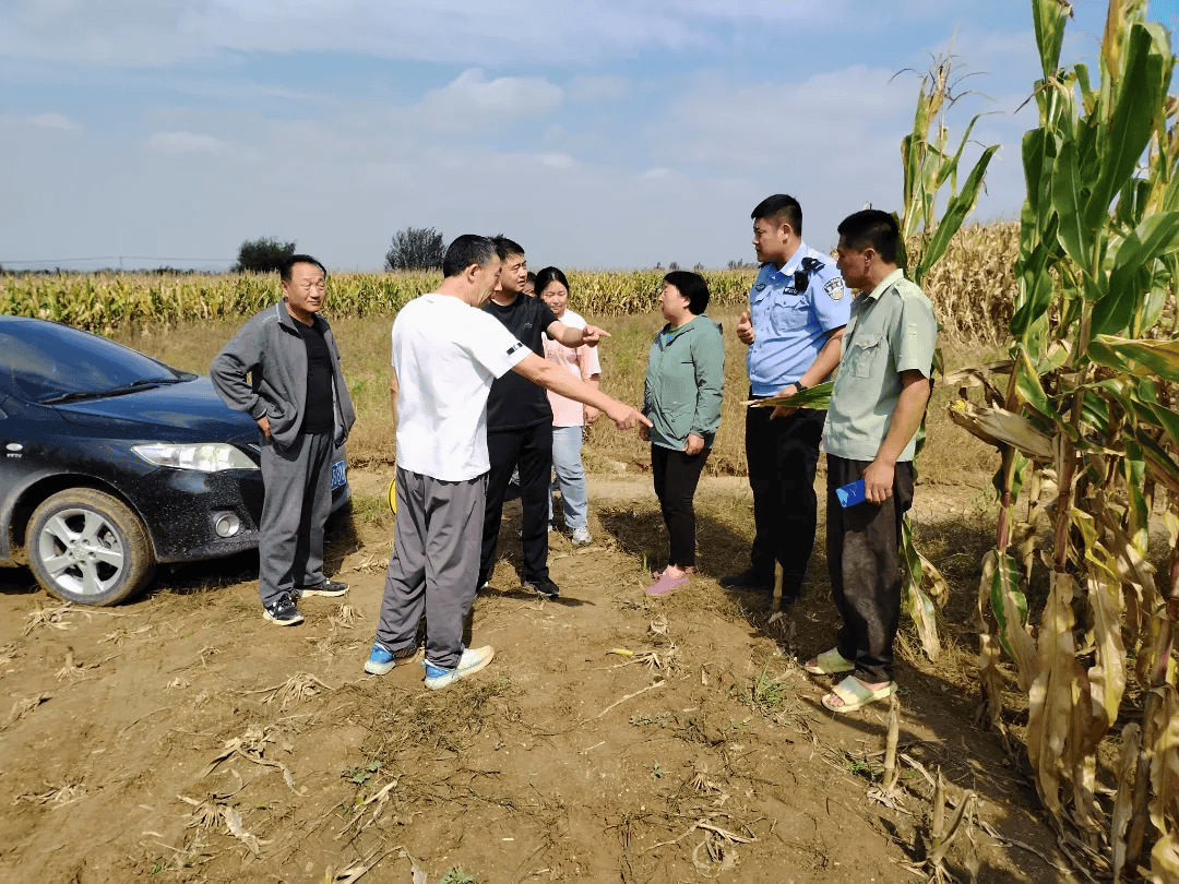 双建专栏| 白音花镇开展"四所一庭"联动调解土地纠纷 共筑"无讼无访"