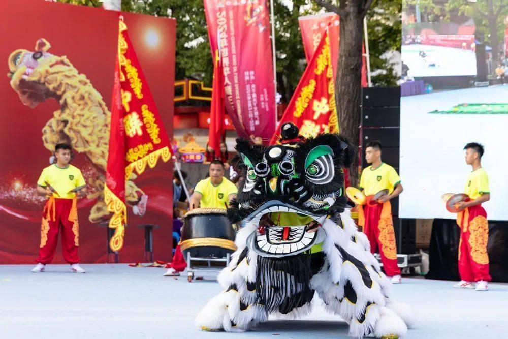 世界华人狮王争霸赛!宝安金奖!