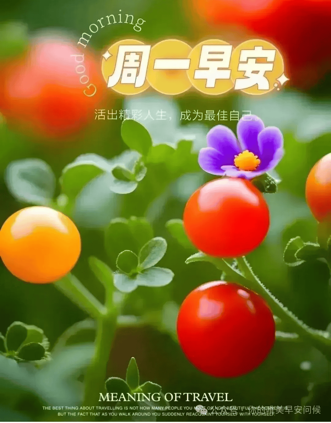 9.23星期一早安心语图片,周一早上好!祝你早安温馨无比!_祝福_生活_才是
