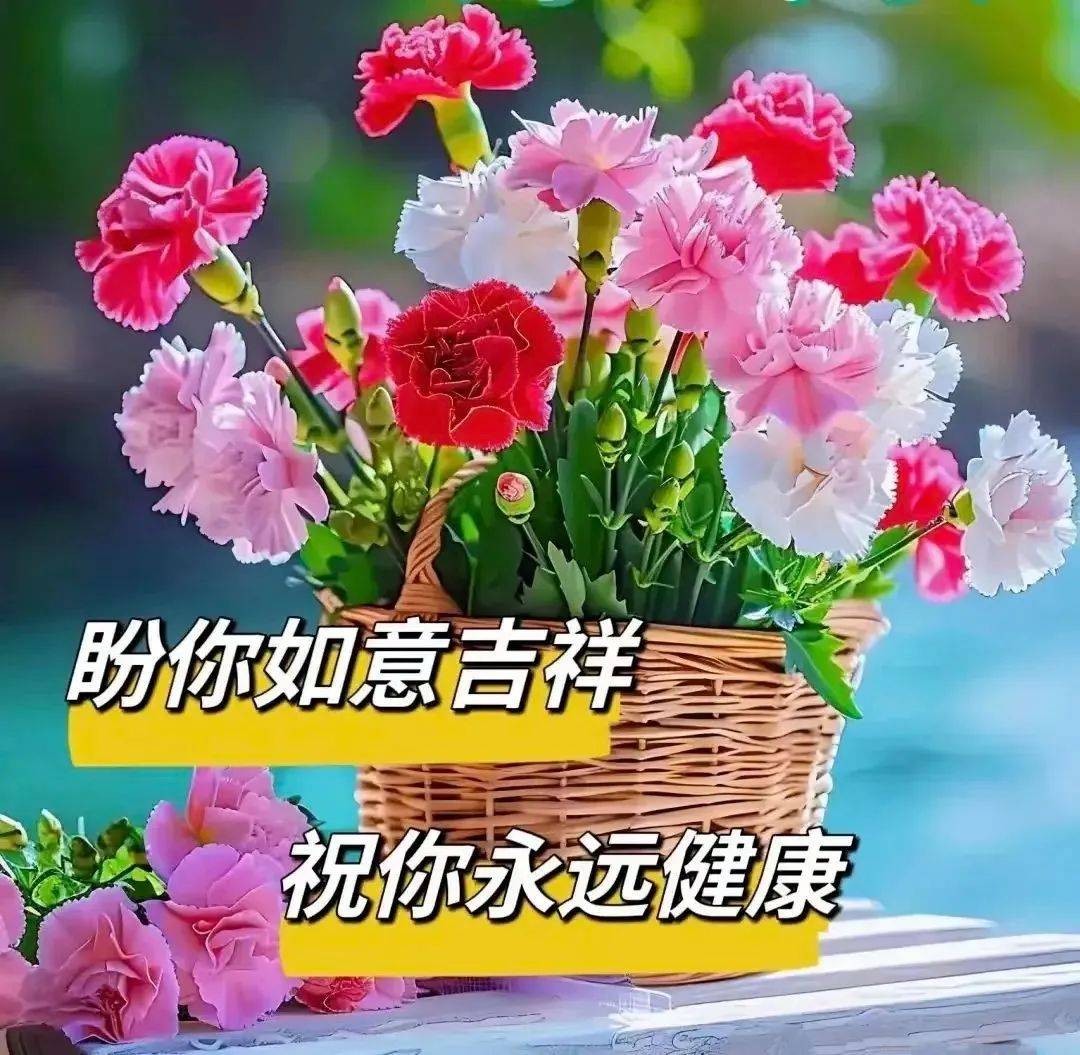 2024最新早上好问候祝福语图片带字温馨漂亮的早上好祝福图片集锦