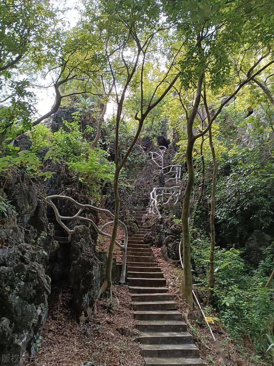 阳江市旅游景点大全图片