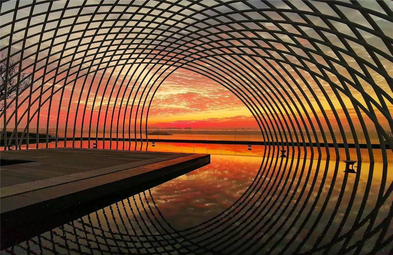 霞山区观海长廊红树林栈道主平台雕塑《人龙舞》 林家锋 摄徐闻县盐田