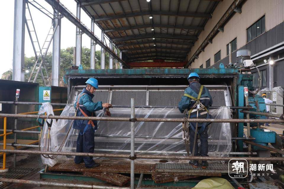 华东区域最大发电厂遭遇海蜇危机：循泵房面临被堵，员工24小时抓海蜇