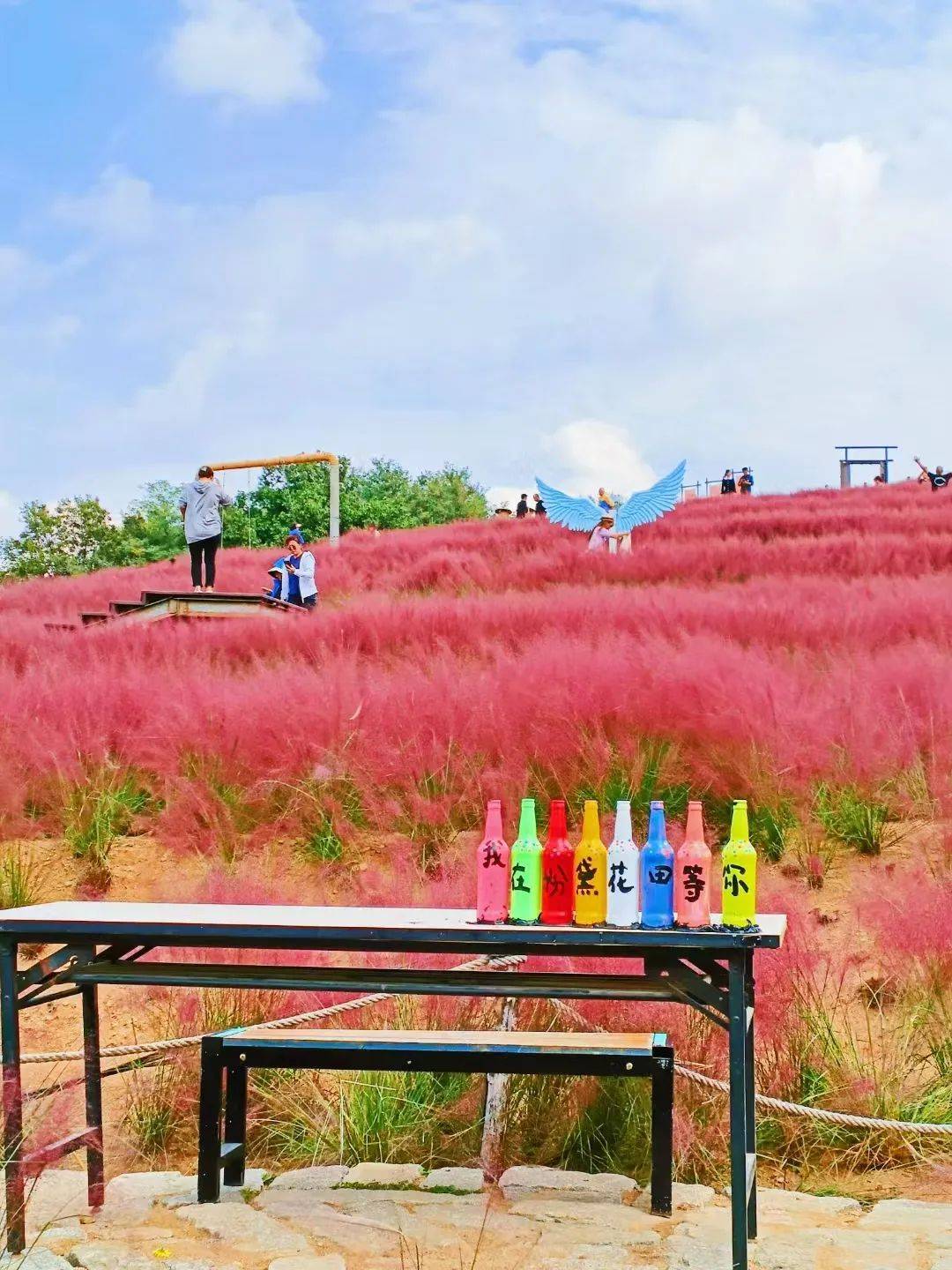 10月10日周四(特价)东沟粉黛花海 稻田美拍1日活动(含午餐)