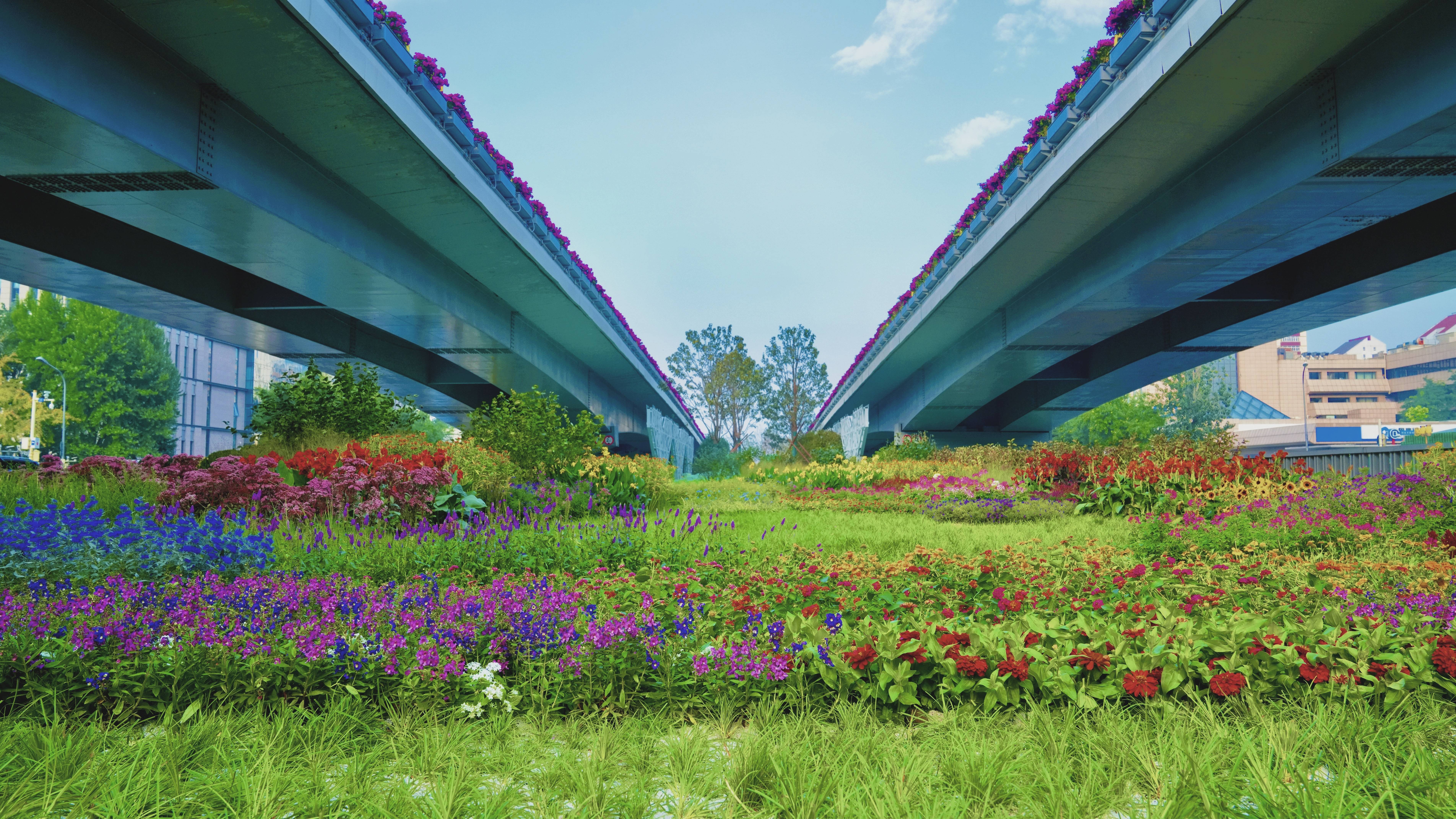 迎国庆,北京121座立交桥变身"立体花环"