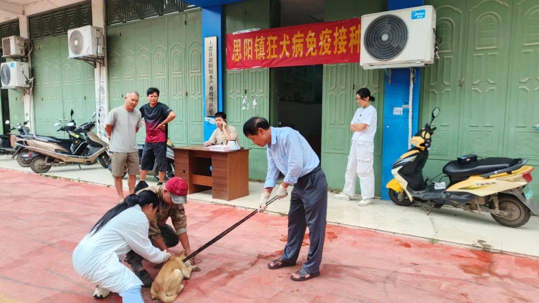 上思县新汽车站规划图图片