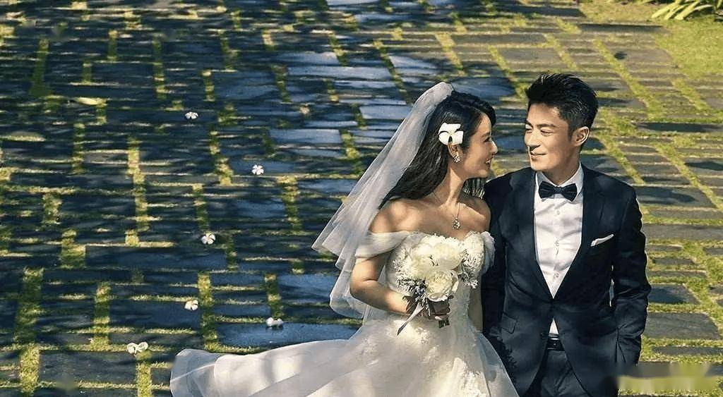 苏有朋老婆结婚照图片