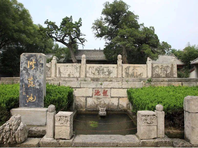 文章配图-99