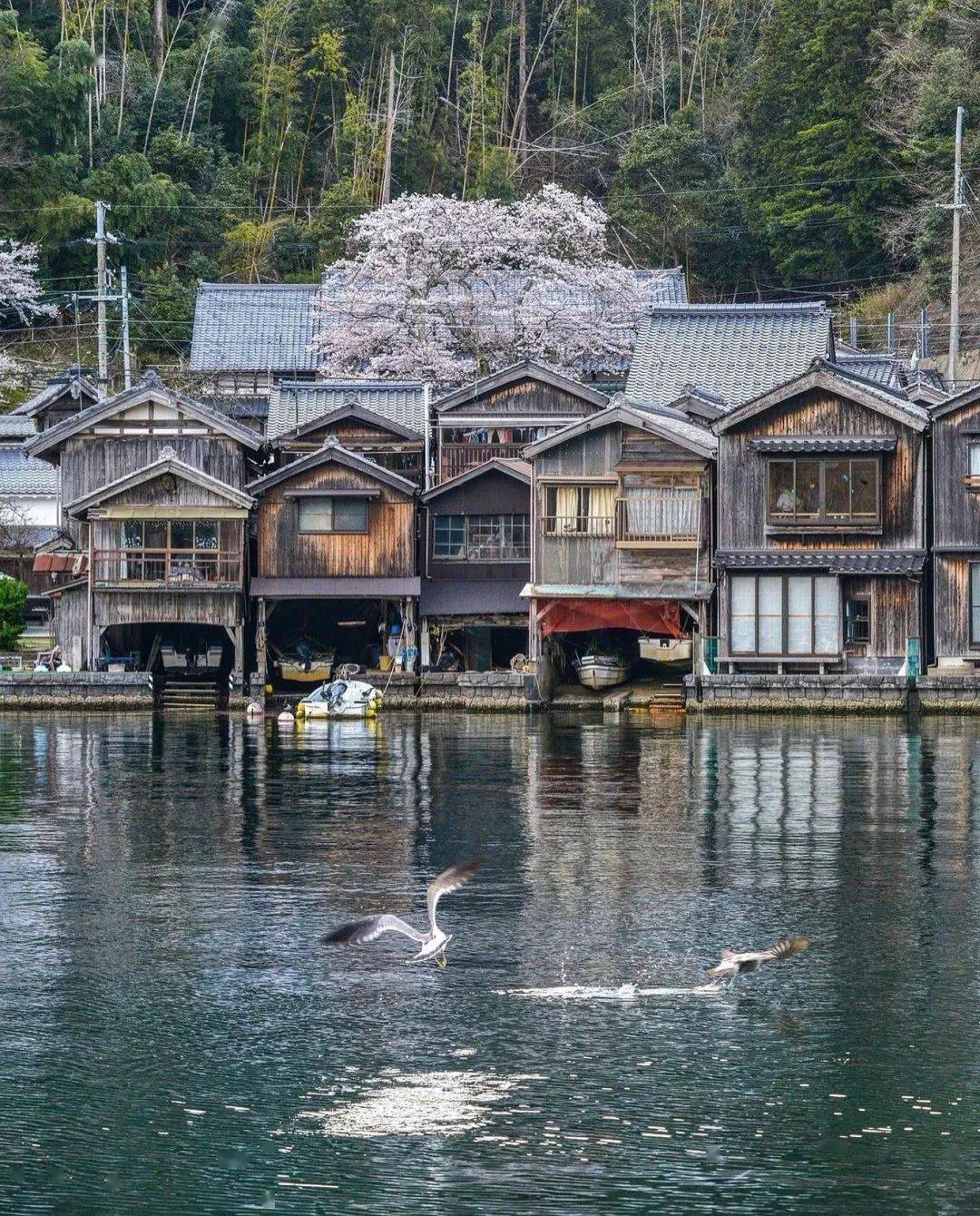 日本三大绝景图片