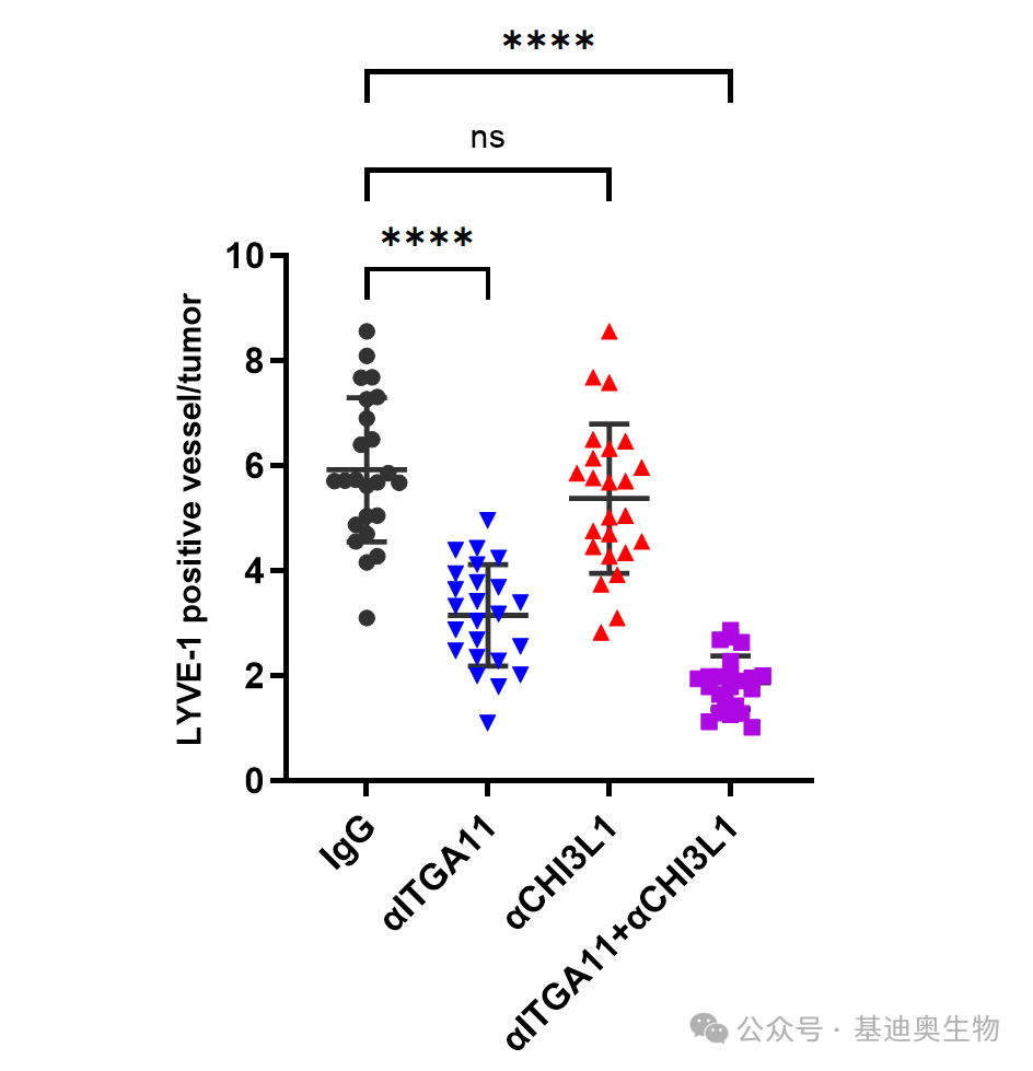 分类散点图图片