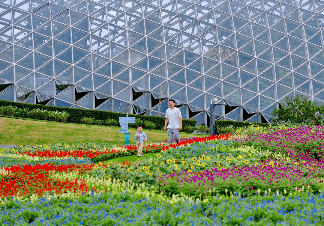 松江遛娃可以去这里逛_李瑞丰_演出_植物园