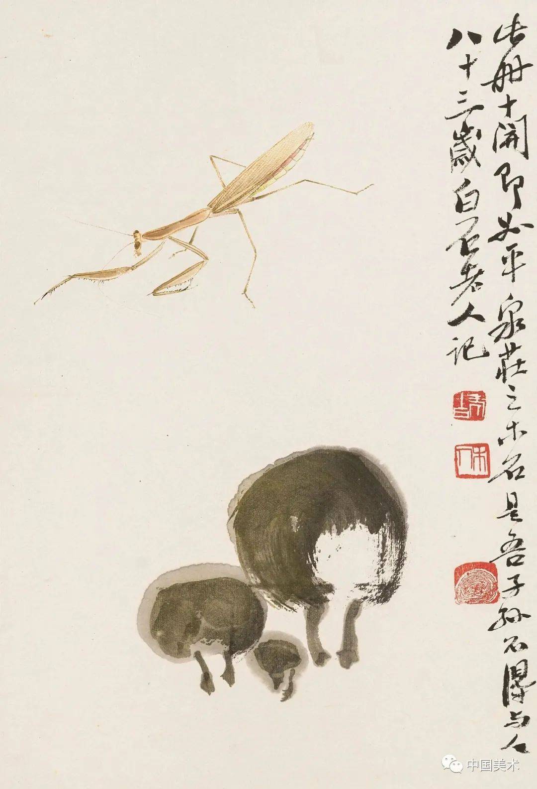 齐白石笔下草虫世界,意趣盎然