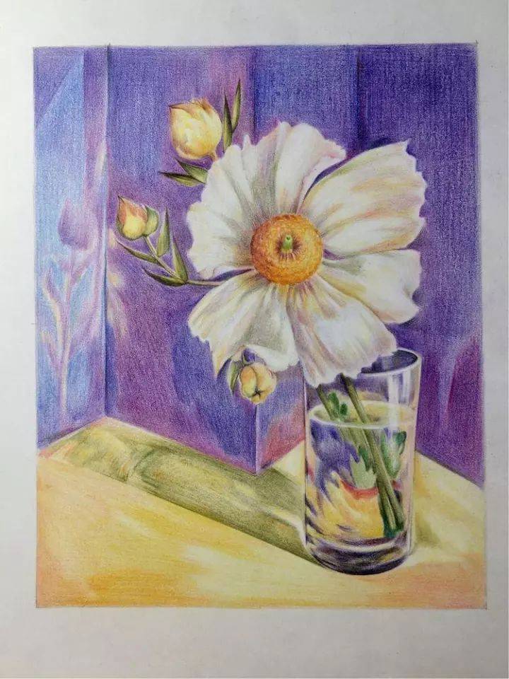 彩铅教程 | 玻璃杯中的格桑花