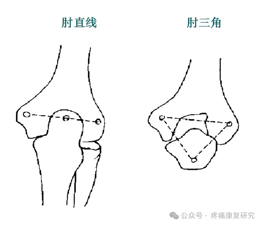 肘部原始点图片