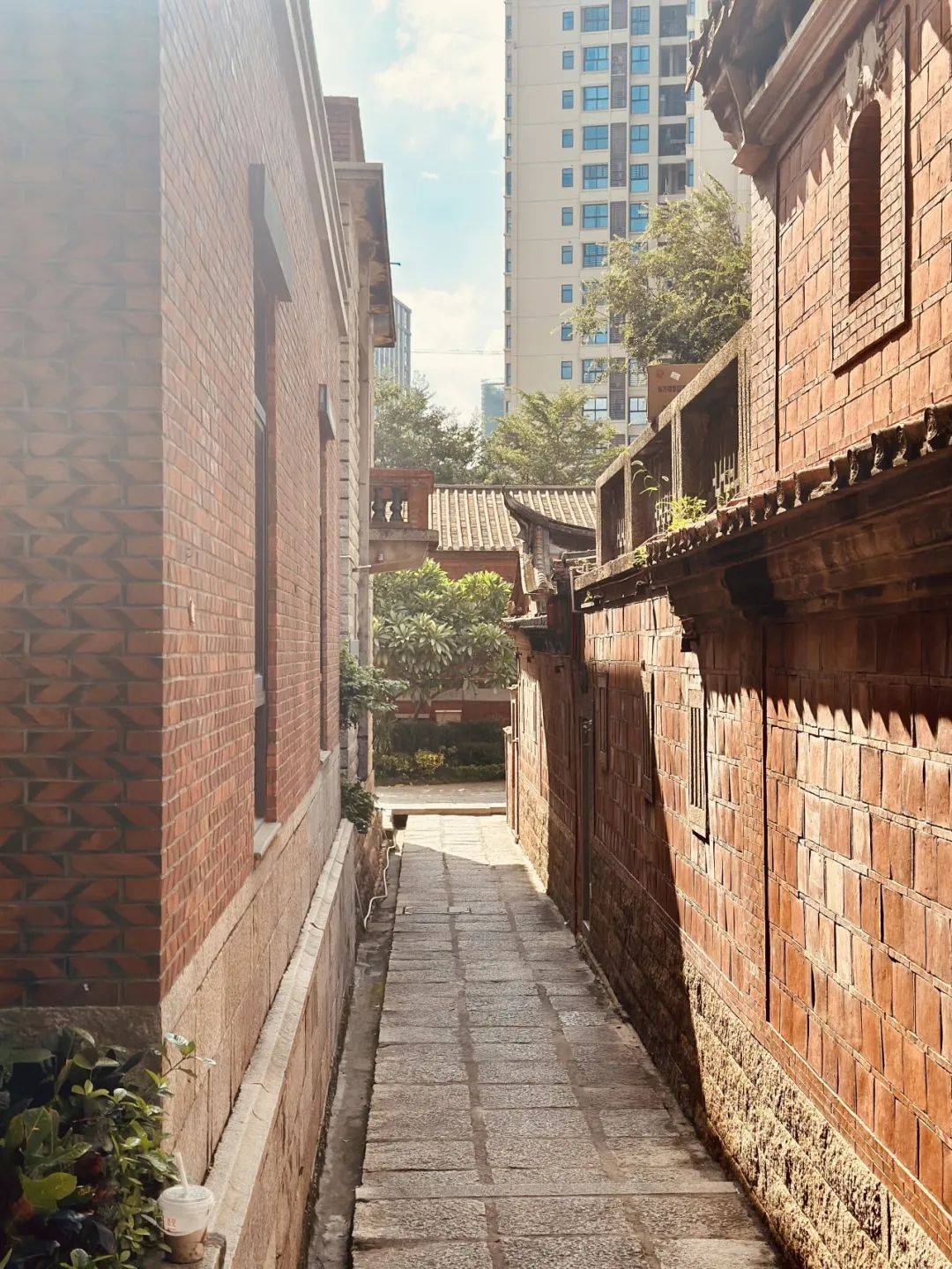 屋顶飞翘的燕尾脊,映照着红砖