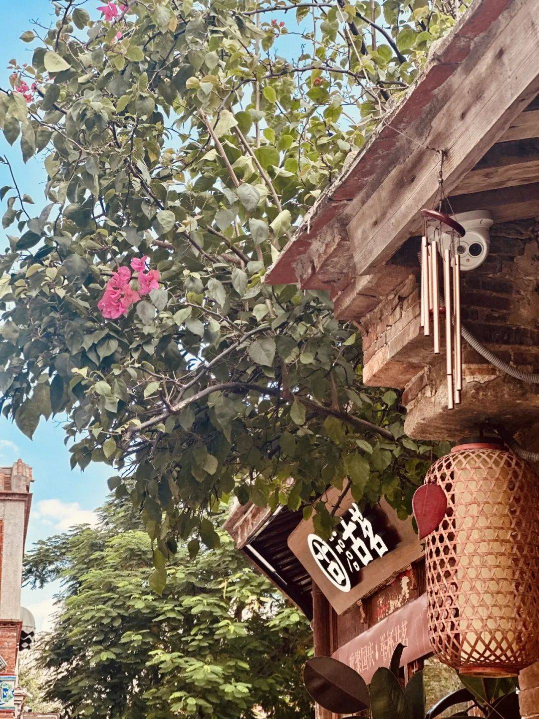 屋顶飞翘的燕尾脊,映照着红砖