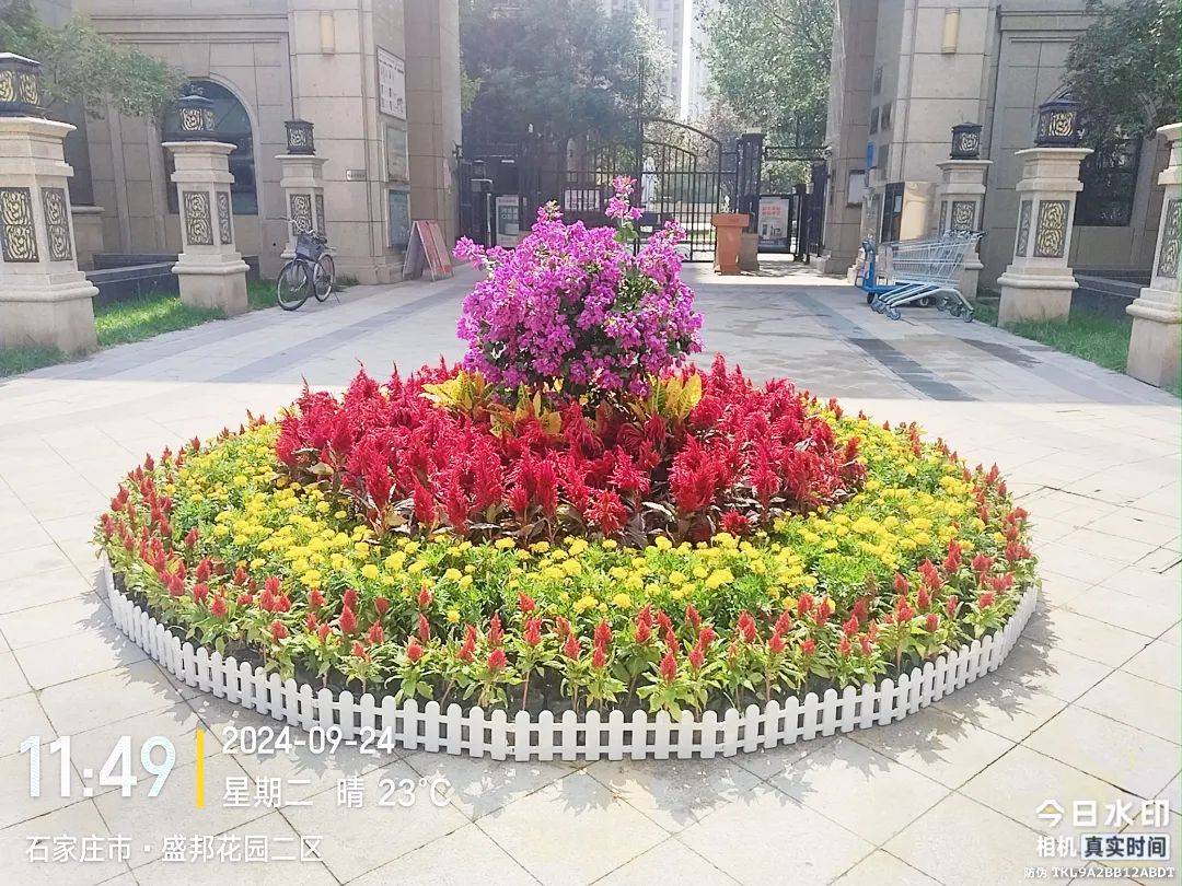 通过在小区大门摆放花卉,路面主干道安插彩旗,单元门张贴贴纸等形式