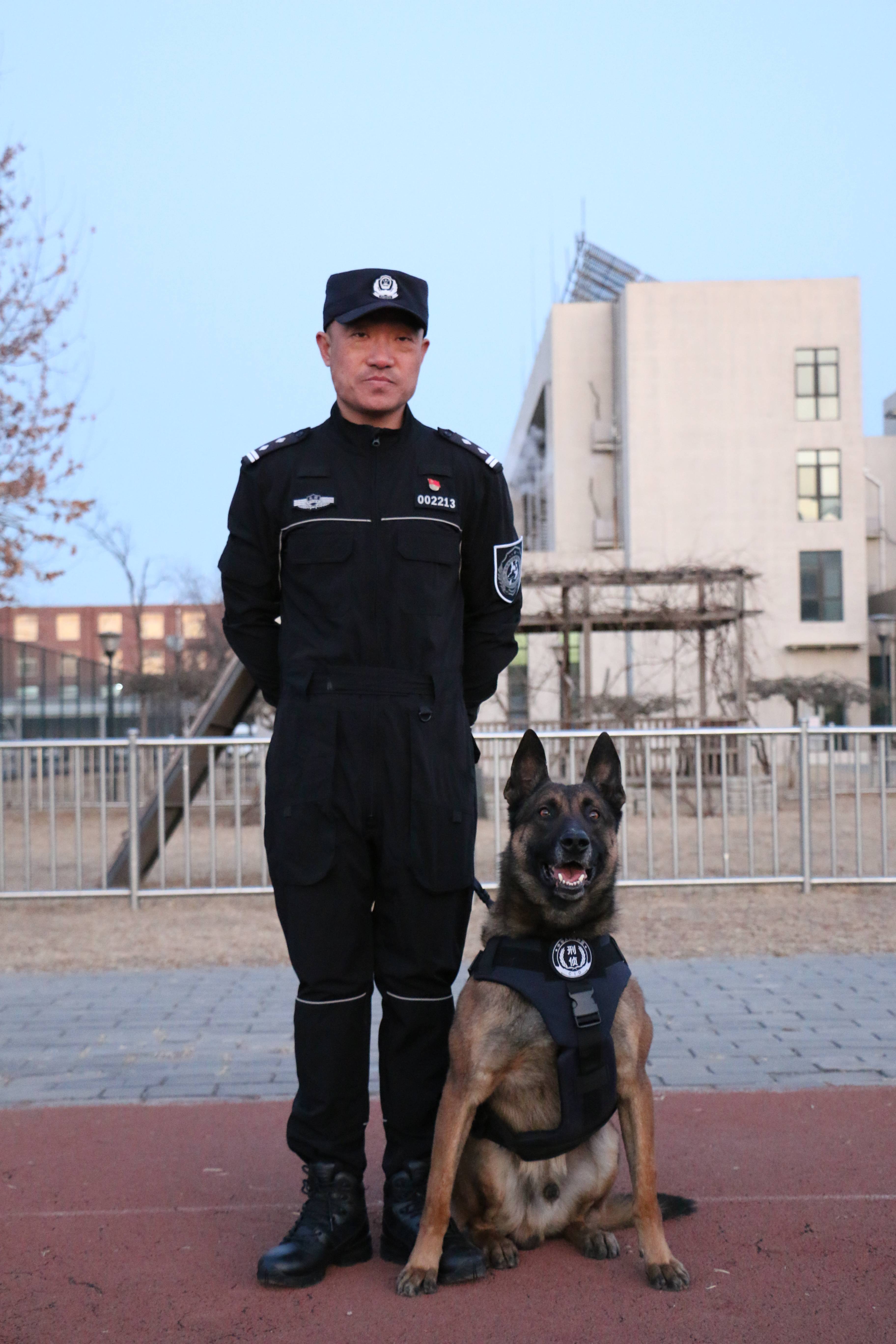 警犬队的故事:70年的变与不变