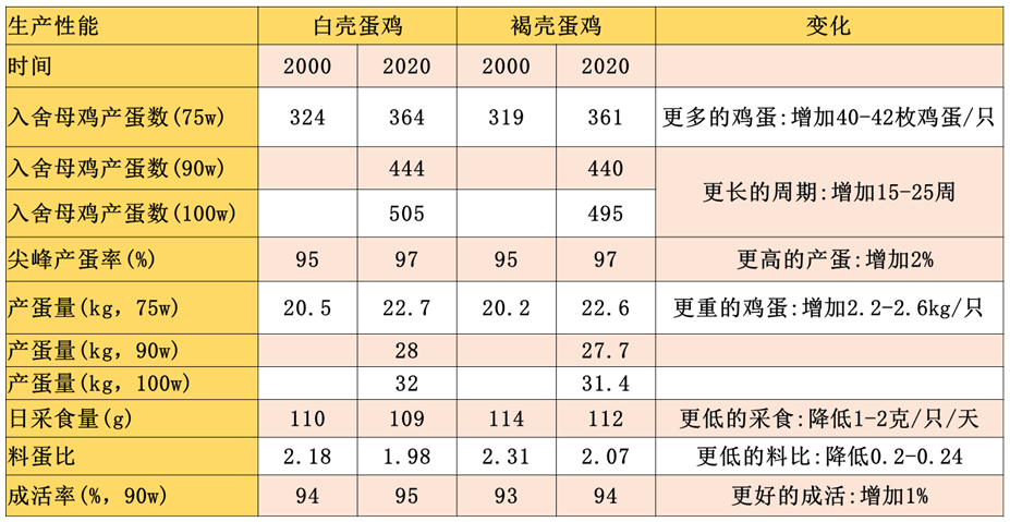 肉鸡生长指标对照表图片