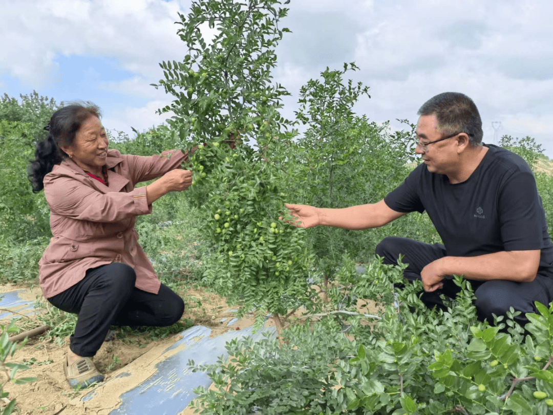 朱继明图片