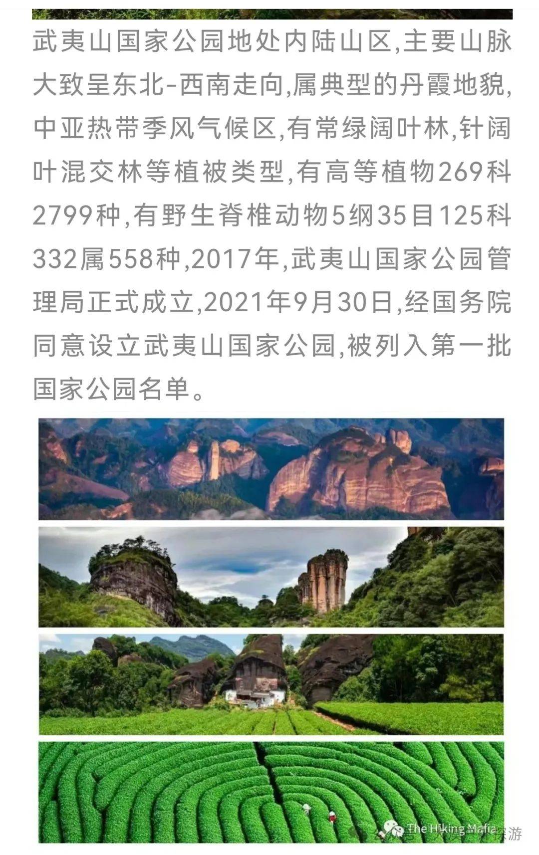 武夷山齐云峰景区介绍图片