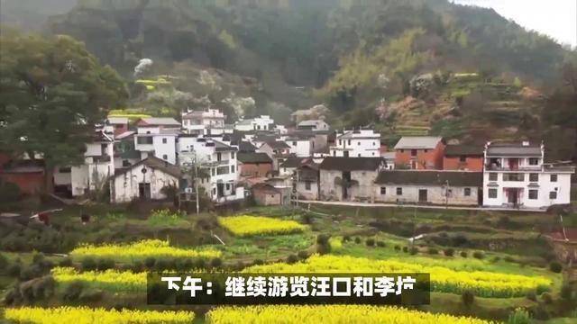 中国最美的乡村——江西婺源旅游攻略-第2张图片-海南百花岭热带雨林文化旅游区