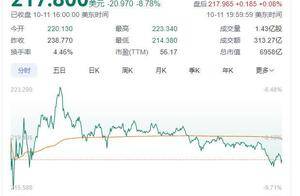 马斯克被指“画大饼” 特斯拉股价跌超8% 市值一夜蒸发超4700亿元