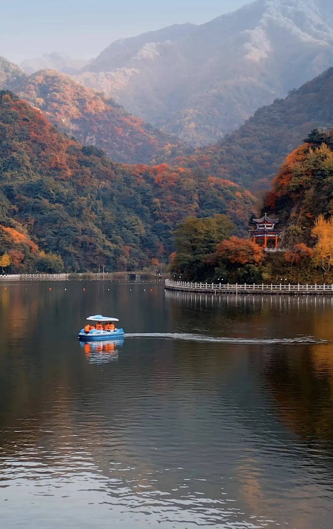 红枫,银杏,水杉图/西安旅游集团一