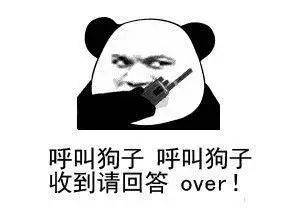 上车 坐稳了!熊猫头表情包