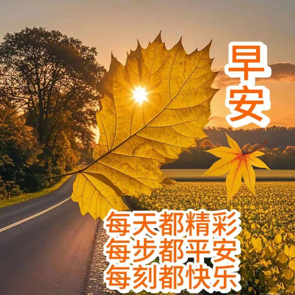 问早安的图片图片