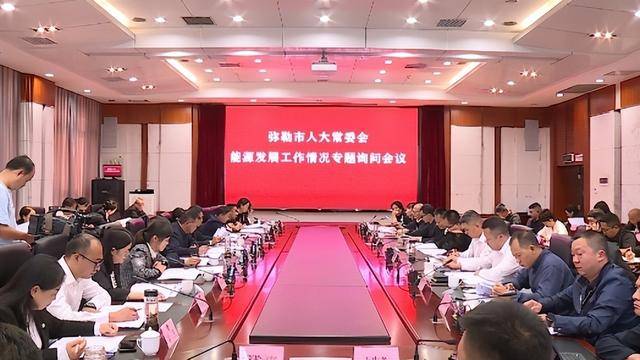 民生用电和重点用电保障等多个方面进行询问,市政府副市长李旭葵率