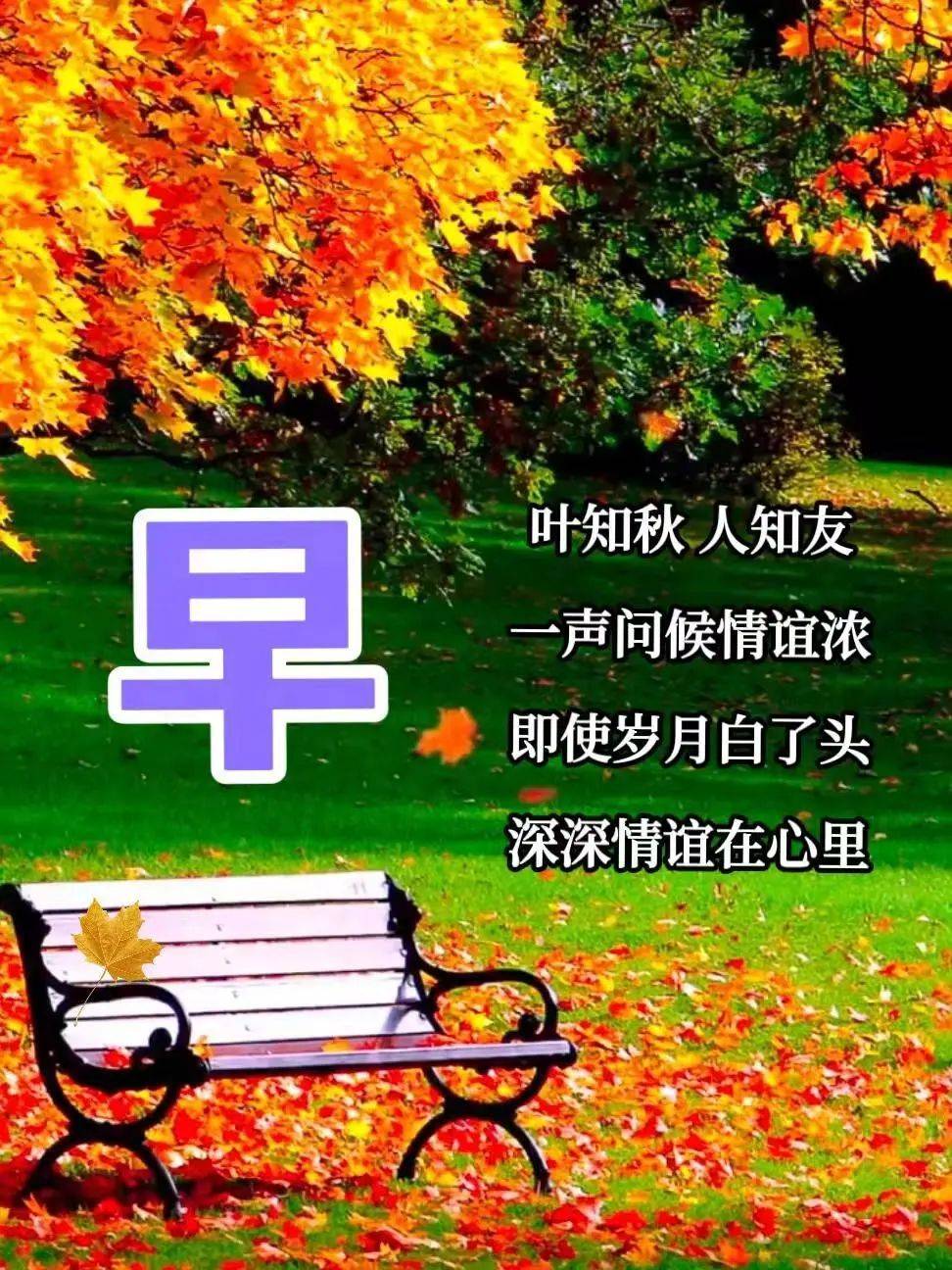 10月17日最漂亮早上好动态表情图片大全