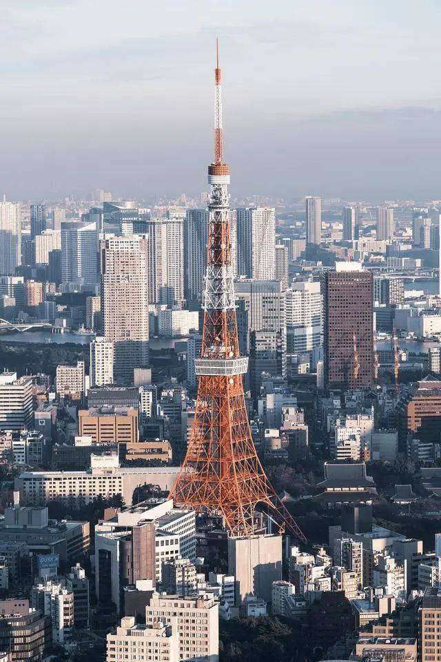 秘境之旅——徐里油画艺术作品展在日本东京隆重举行_搜狐网