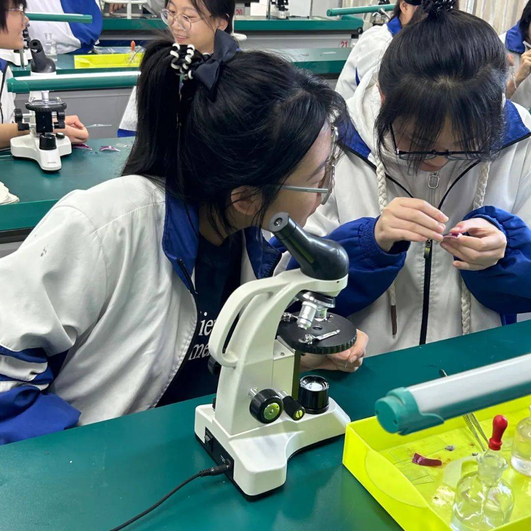 【学科动态】纸上得来终觉浅,绝知此事要躬行——记高三学子生物实验
